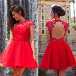 Lace Backless Dress for Women Round Neck Sleeveless Elegant Design Perfect for Parties and Events