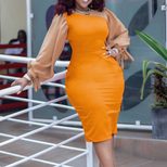 Plus Size Womens Color Block Long Sleeve Dress Elegant Casual Style for Autumn Winter Ready to S