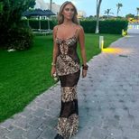 Fashionable Womens Spring Dress Leopard Print Lace Panel Sheer Design Perfect for Parties and Ni