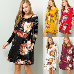 Floral Print Mini Dress Womens Spring Summer Fashion Casual Style for Everyday Wear Wholesale Av