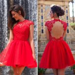 Lace Backless Dress for Women Round Neck Sleeveless Elegant Design Perfect for Parties and Events