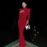 High Neck Long Sleeve Bodycon Dress Solid Color Ruched Design Backless Fashionable for Autumn Wi