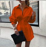 Womens Button Down Shirt Solid Color Fitted Waist Long Sleeve Casual Wear customizable