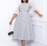 Sheer Mesh Panel Dress Fashionable Sexy Elegant Perfect for Office and Casual Occasions Availabl