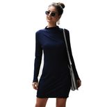 Womens Knit Dress Round Neck Long Sleeve Slim Fit Autumn Winter Fashion Wholesale Available