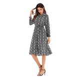 Chiffon Leopard Print Dress Long Sleeve Button Down Collar Fashionable Design Autumn Winter Coll