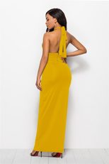 Sleeveless Backless Bodycon Dress for Women Solid Color Stretch Fabric Elegant Evening Wear