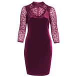 Velvet Evening Dress for Women Lace High Neck Hollow Out Three Quarter Sleeve Bodycon Plus Size