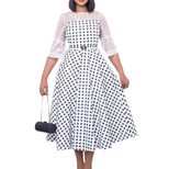 Sheer Mesh Panel Dress Fashionable Sexy Elegant Perfect for Office and Casual Occasions Availabl