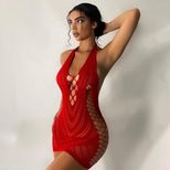 Fashionable Sexy Lace Bodysuit Dress Halter Neck Backless Bodycon Fit Spring Summer Collection W