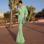 High Neck Long Sleeve Bodycon Dress Solid Color Ruched Design Backless Fashionable for Autumn Wi