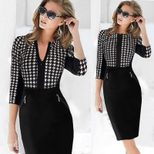 Pencil Dress for Women Zipper Closure Elegant Design Casual or Party Wear in Multiple Sizes