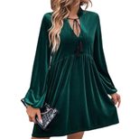 Velvet Long Sleeve Dress Waist Defined Flared Skirt Puff Sleeves Fall Winter Fashion for Women O