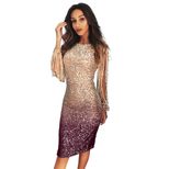 Mini Dress for Women Gradient Color Sequins Fitted Style with Fringe Sleeves Evening Wear