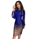 Color Block Sequin Dress Round Neck Fringe Sleeves Elegant Design Perfect for Parties and Gather