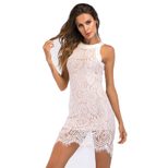 Lace Bodycon Dress Halter Neck Floral Cutout Airy Fabric Elegant Evening Wear Wholesale Availabl