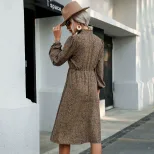 Leopard Print Long Sleeve Dress Stylish Fall Fashion Versatile Layering Piece for Women Wholesal