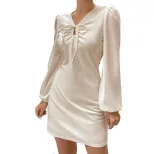 Elegant A Line Dress Long Puff Sleeves V Neck Ruched Bodice Hollow Out Design Perfect for Partie