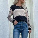 Loose Fit Leopard Print Long Sleeve T Shirt Stylish Autumn Design Casual Wear for Women Wholesal