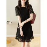 Lace Dress for Women Casual Short Sleeve Fit and Flare Summer Fashion Available in Apricot and Black Wholesale Options