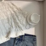 Lace Crochet Loose Fit T Shirt Round Neck Short Sleeve Elegant Design Casual Wear for Women Read