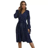 Lace Long Sleeve Blue Polka Dot Dress Elegant Design Comfortable Fit Autumn Winter Style Wholesa