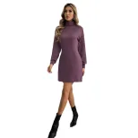 Fashionable Womens Sweater Dress Slim Fit High Neck Long Sleeve Mid Length Casual Wear for Fall