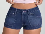 Embroidered High Waisted Denim Shorts Casual Style Stretch Fabric Suitable for Summer Wholesale