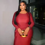 Bodycon Dress Slim Fit Waist Tie Round Neck Long Sleeve Solid Color Cocktail Party or Evening We