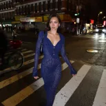 Blue Leopard Print Sheer Mesh Dress Deep V Neck Fashionable Design Sexy Silhouette Perfect for P