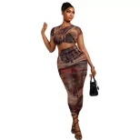 Casual Color Block Printed Dress Set for Women Short Sleeve Round Neck Bodycon Fit Trendy Summer