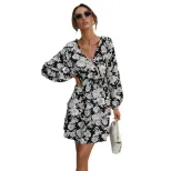 Fashionable Womens Long Sleeve Dress Slim Fit Elegant Design Spring and Autumn Wear Wholesale Av