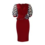Womens Pencil Dress Spring Summer Collection Mesh Puff Sleeve Color Block Design Elegant Style W