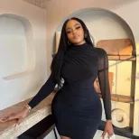 Long Sleeve Round Neck Bodycon Dress Solid Color Slim Fit Sexy Style Winter Fashion for Women Wh