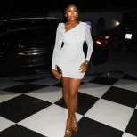 Sheer Mesh Bodycon Dress Solid Color Asymmetrical Neckline Long Sleeve Floral Design Evening Wea