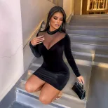 Velvet Bodycon Dress High Neck Long Sleeve Slim Fit Elegant Black Perfect for Evening Events