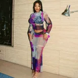 Sheer Mesh Two Piece Set Round Neck Long Sleeve Floral Print Bodycon Skirt Fashionable for Parti