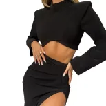 Two Piece Set Long Sleeve Crop Top High Waist Split Midi Skirt Fashionable Elegant Style for Par