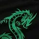 Fashionable Womens Hip Hop T Shirt Unique Dragon Print Short Sleeve Casual Style Wholesale Avail