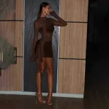 Womens Sexy Sheer Mesh Patchwork Hollowed Ruched Long Sleeve Dress Elegant Fit Round Neck Trendy
