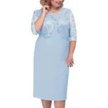Plus Size Womens Dress Lace Panel Short Sleeve Two Piece Look Elegant Occasion Wear Wholesale Av