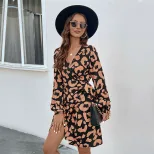 Animal Print V Neck Mini Dress Womens Autumn Fashion Trendy Short Sleeve Wholesale Available OEM