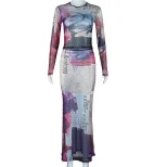 Sheer Mesh Two Piece Set Round Neck Long Sleeve Floral Print Bodycon Skirt Fashionable for Parti