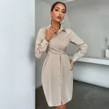 Long Sleeve Shirt Dress Solid Color Versatile Classic Collar Autumn Office Wear Wholesale Availa