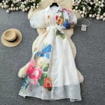 Elegant Womens Summer Dress with Floral Print Lantern Sleeves and Waist Tie in White Apricot and Blue for Casual Occasions