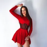 Fashionable Womens Dress Half High Neck Long Sleeve Sheer Mesh Panel Fishtail Design Waist Cinch