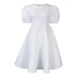 A Line Dress Round Neck Puff Sleeves Waist Defined Flowy Hem Elegant Evening Wear Wholesale Avai