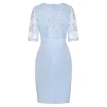 Plus Size Womens Dress Lace Panel Short Sleeve Two Piece Look Elegant Occasion Wear Wholesale Av