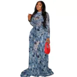 Elegant A Line Maxi Dress for Women Waist Defining Sheer Floral Print High Neck Slim Fit Perfect