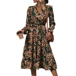 Long Sleeve Leopard Print Dress Mid Length Autumn Fashion Casual Wear Wholesale Available OEM OD